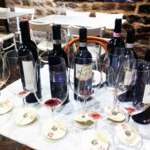 Дегустация лучших вин Брунелло в Монтальчино.