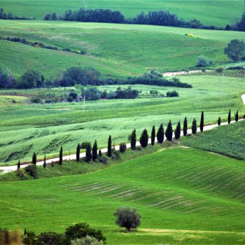 Тоскана, весна, бархатные зелёные холмы Валь Д’Орчи.