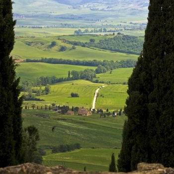 Тоскана, мягкие холмы Валь Д’Орчи и кипарисы, путешествие с частным гидом.