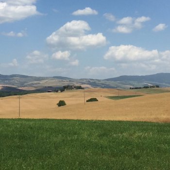 Мягкие округлые холмы в житнице Тосканы, путешествие в долину Валь Д’Орча.