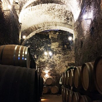 Бывшая этрусская пещера, а теперь винный погреб в Монтепульчано, Тоскана, экскурсия.