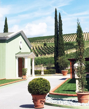 Тосканский пейзаж посадки винограда для вина Брунелло.